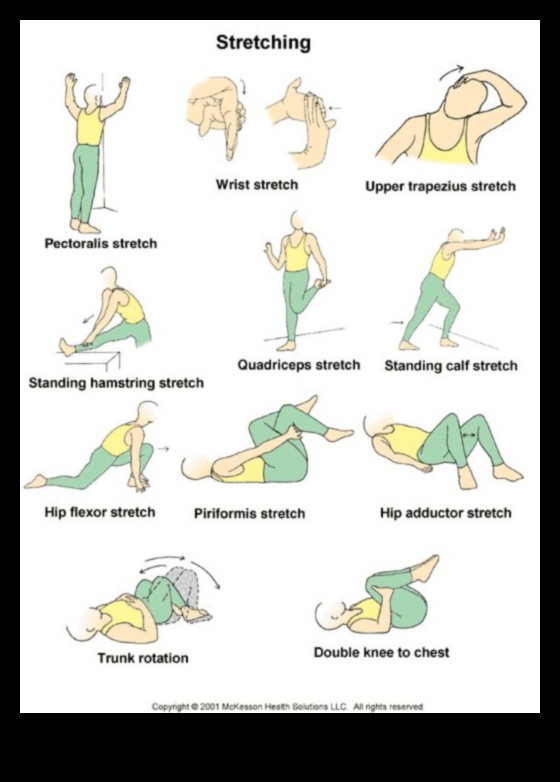 Stretching Essentials: Δημιουργία σχεδίου για καθημερινή ευελιξία