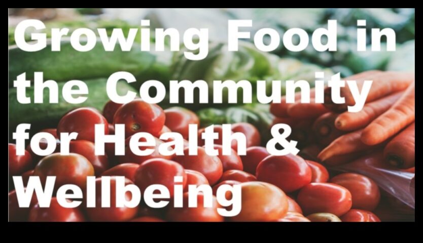 Κοινοτική Διατροφή Καλλιεργώντας Υγεία και Ευεξία