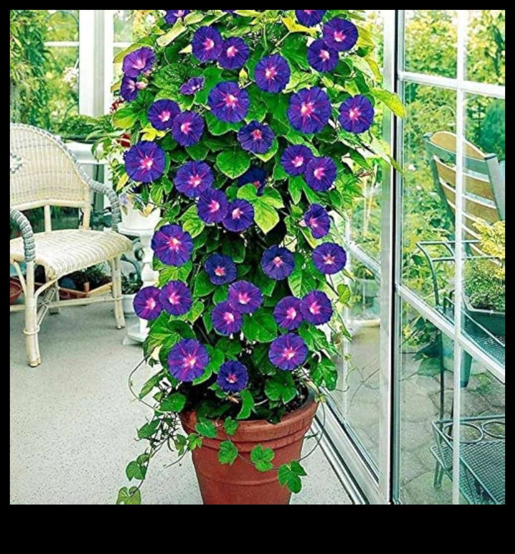 Morning Garden Glory: Θρέφοντας το σώμα σας με φρέσκους χυμούς λαχανικών