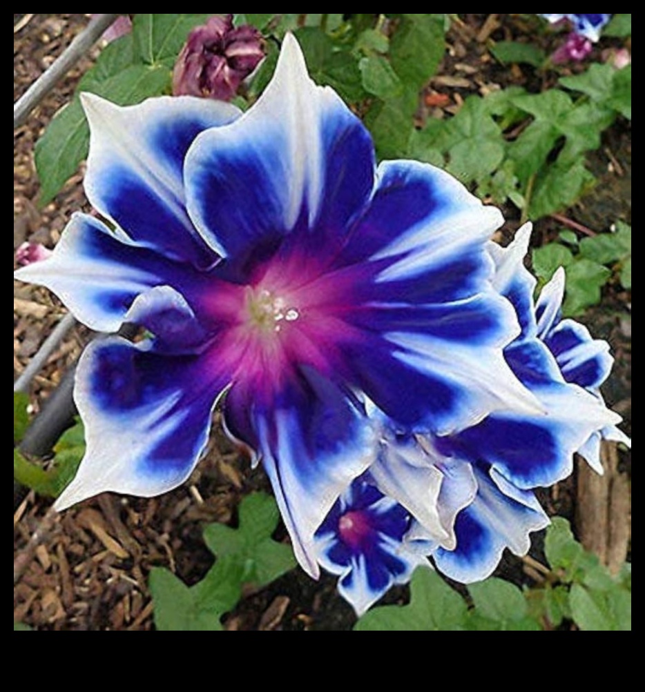 Morning Garden Glory: Θρέφοντας το σώμα σας με φρέσκους χυμούς λαχανικών