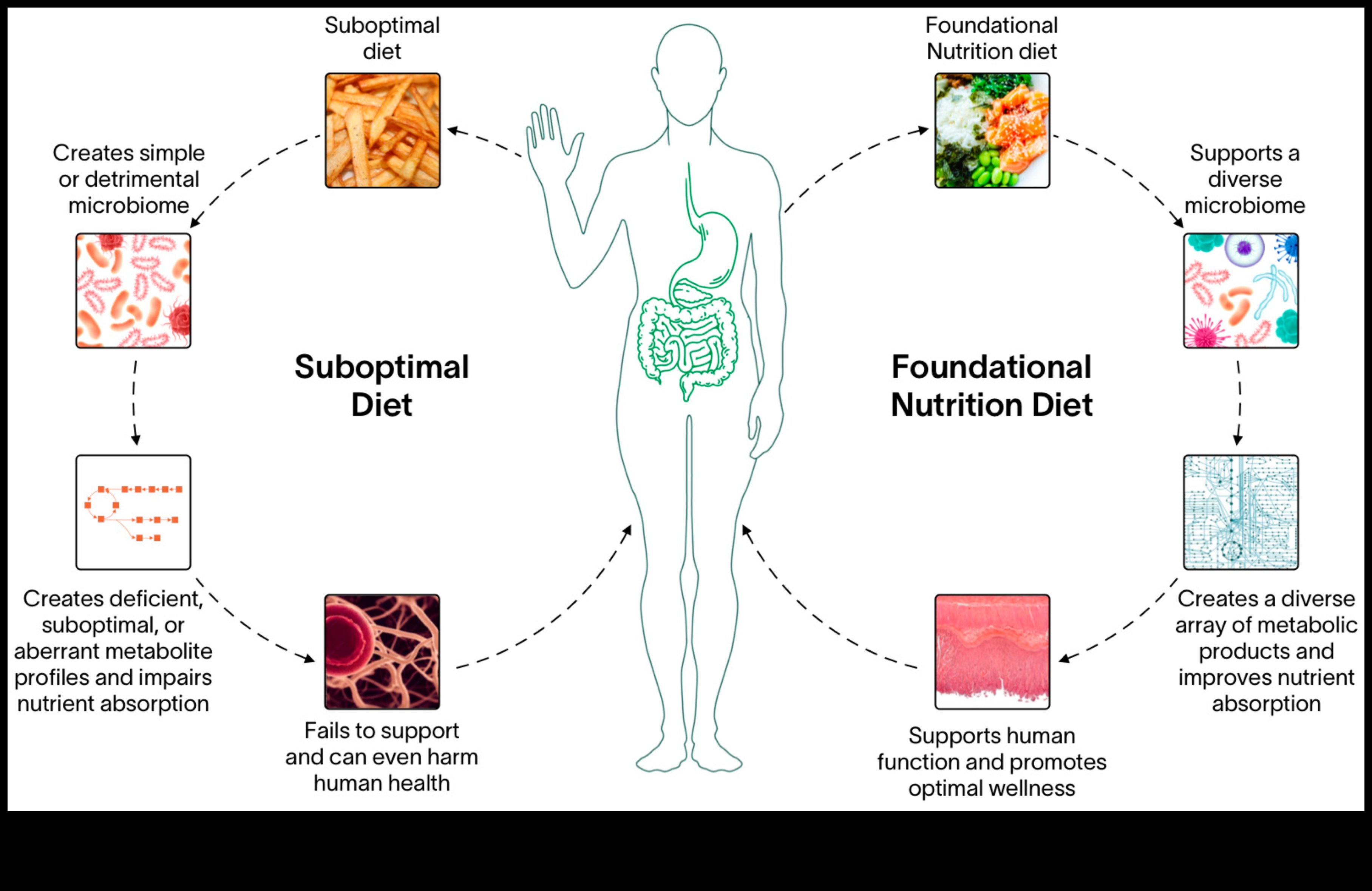 Βιοχημικές βάσεις: Εξερευνώντας τις ρίζες της διατροφικής υγείας
