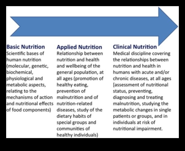 Βιοχημικές βάσεις: Εξερευνώντας τις ρίζες της διατροφικής υγείας