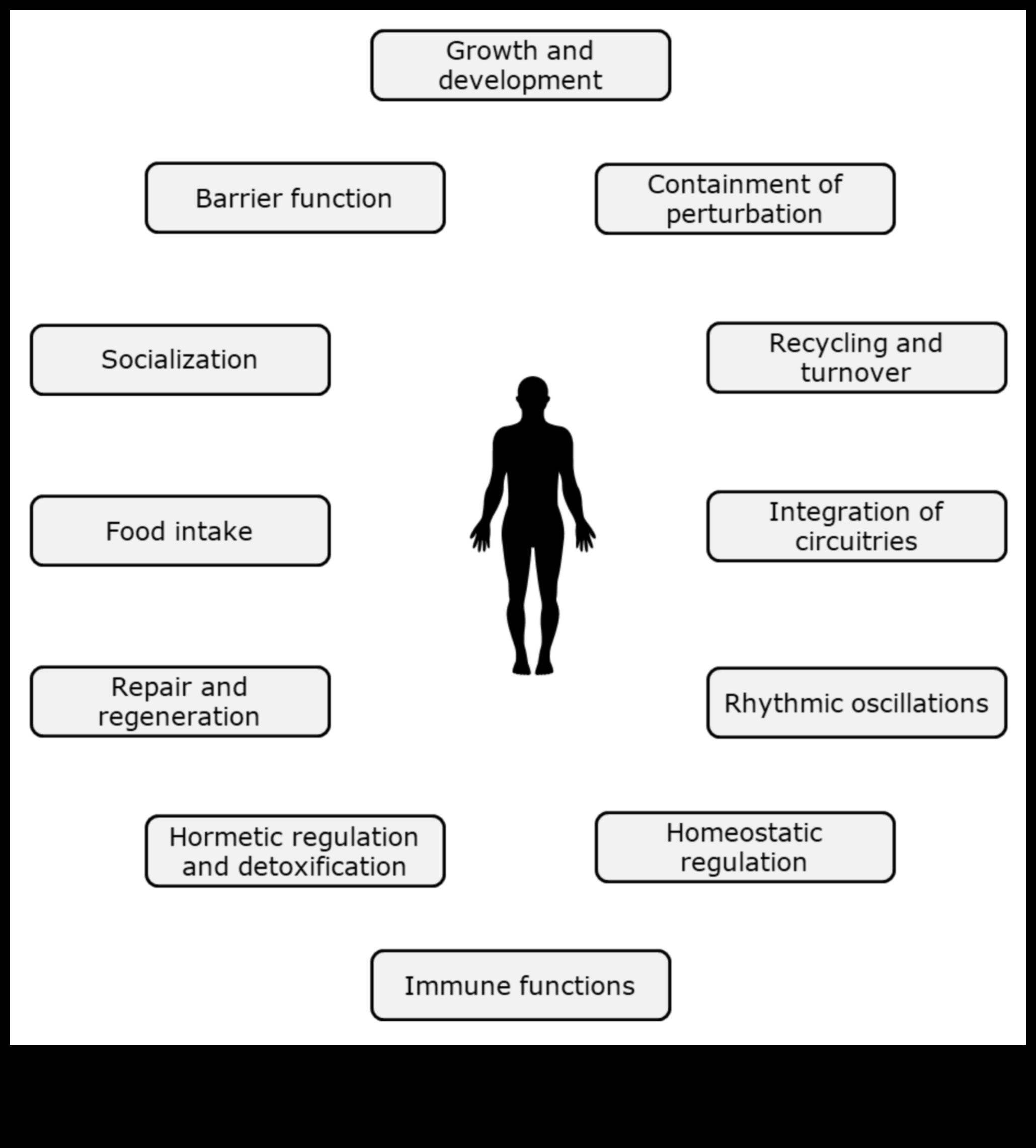 Βιοχημικές βάσεις: Εξερευνώντας τις ρίζες της διατροφικής υγείας