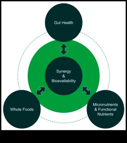 Διερεύνηση των Βιοχημικών Βάσεων της Διατροφικής Υγείας