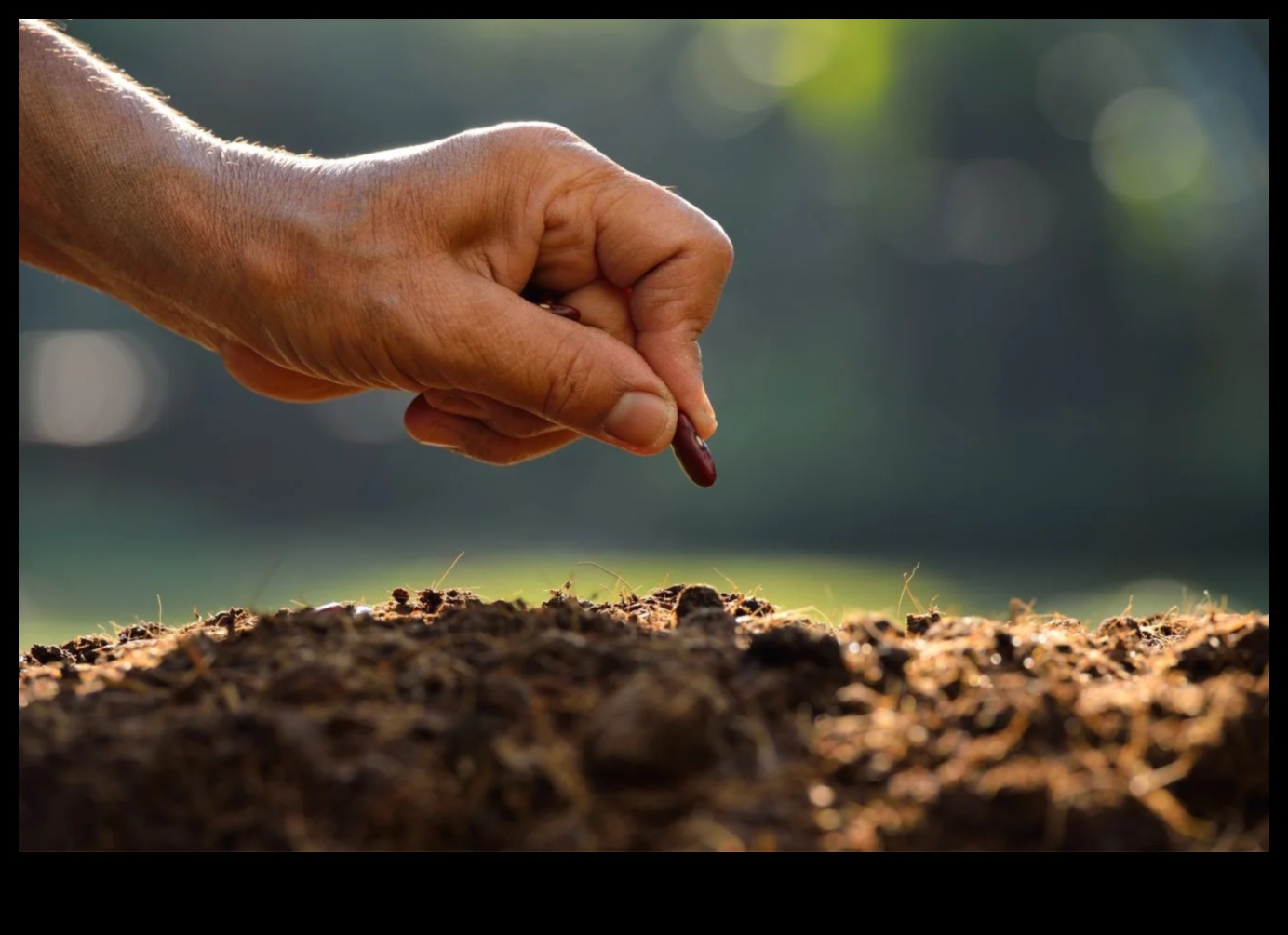 Συγκομιδή Υγείας: Σπορά των Σπόρων της Διατροφικής Σοφίας