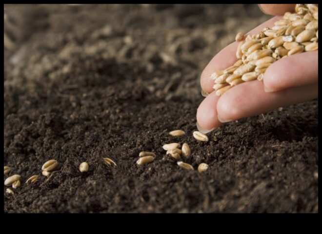 Συγκομιδή Υγείας Σπέρνοντας τους Σπόρους της Διατροφικής Σοφίας