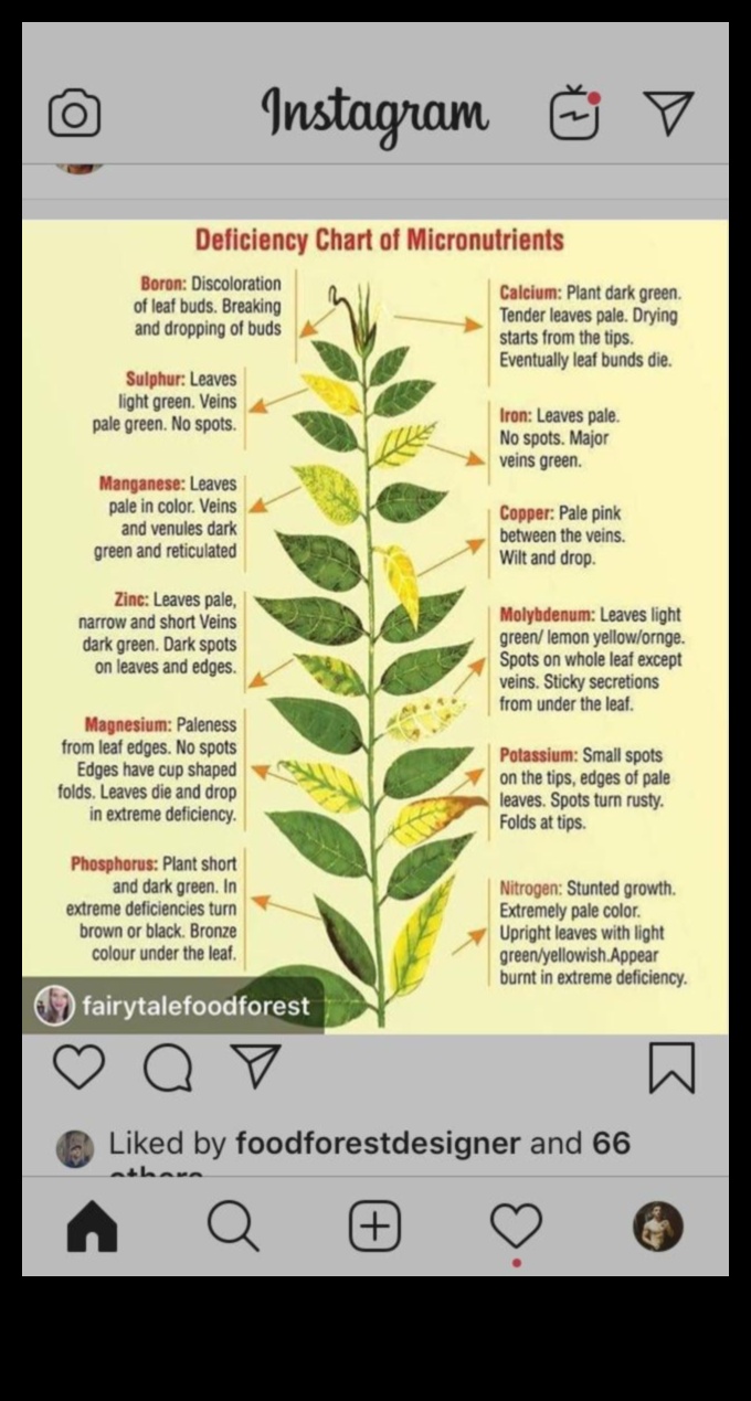 Εξάντληση θρεπτικών συστατικών: Σημάδια, πηγές και λύσεις