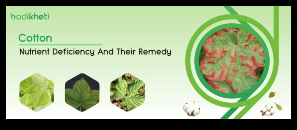 Εξάντληση θρεπτικών συστατικών: Σημάδια, πηγές και λύσεις