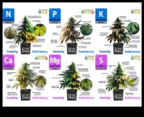 Εξάντληση θρεπτικών συστατικών Μια πιο προσεκτική ματιά στα δείκτες, τις πηγές και τις λύσεις