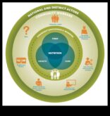 The Nourished Neighborhood Μια Κοινοτική Προσέγγιση στη Διατροφή για τη Δημόσια Υγεία