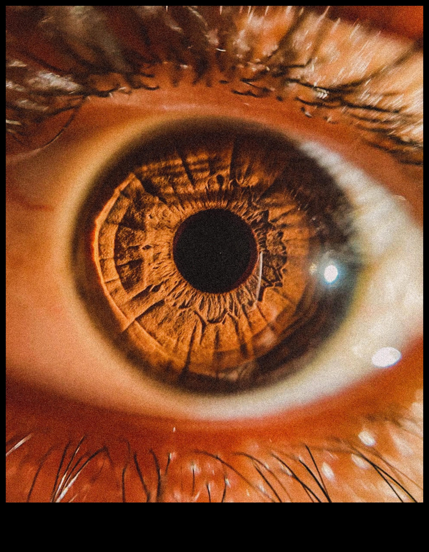 Αποκαλύφθηκαν περίπλοκες λεπτομέρειες: Mastering the Art of Macro Photography