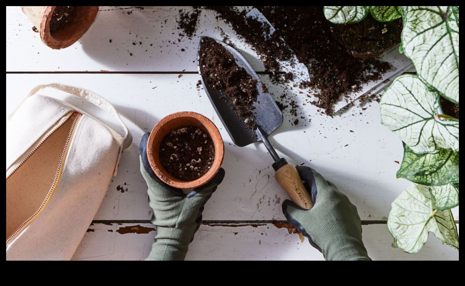 Nature Nurturer: Gardening Gifts for the Green-Thumbed Lady