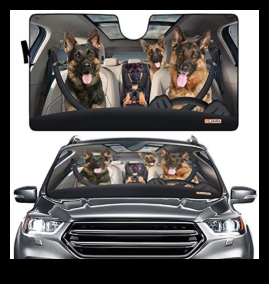 Auto Enthusiast: Αξεσουάρ αυτοκινήτου για τον λάτρη του αυτοκινήτου