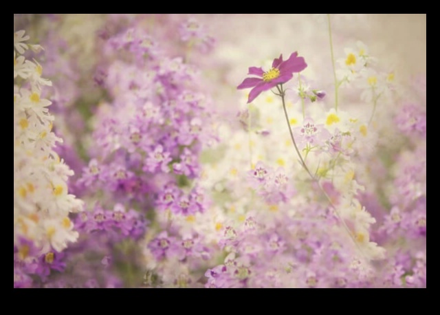 Παστέλ Προοπτικές: Απαλή κομψότητα σε ευαίσθητα στυλ φωτογραφίας