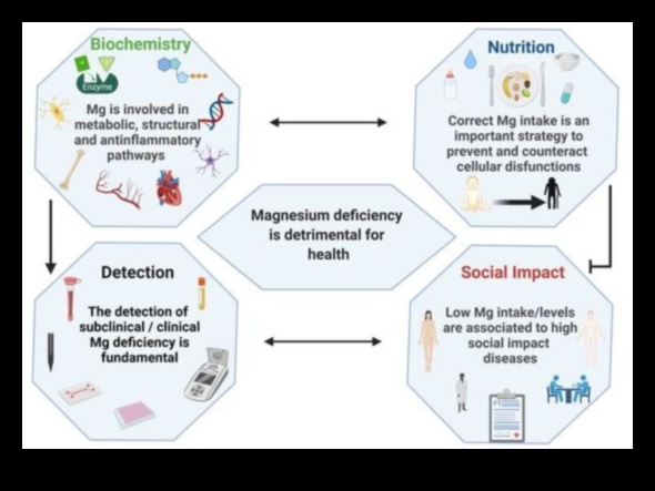 Βιοχημική ευεξία: Η διασταύρωση διατροφής και υγείας