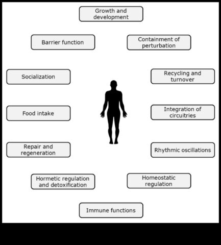 Βιοχημική ευεξία Πώς αλληλεπιδρούν η διατροφή και η υγεία