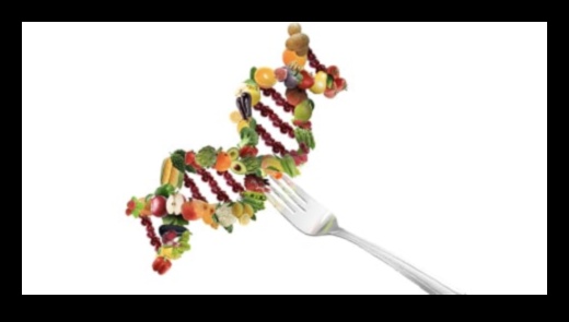 Από το DNA στο πιάτο δείπνου: Η Επιστήμη της Διατροφικής Βιοχημείας