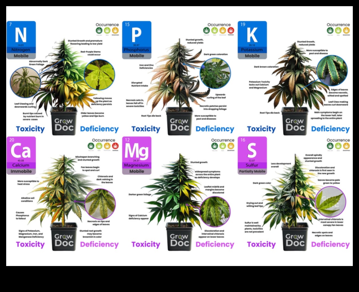 Εξάντληση θρεπτικών συστατικών: Σημάδια, πηγές και λύσεις