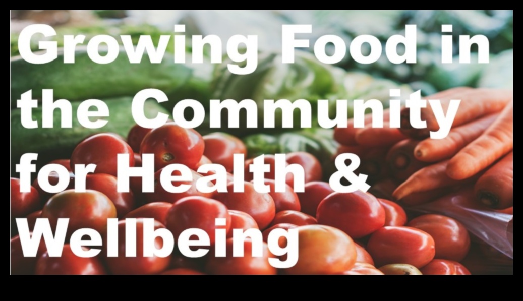 Κοινοτική Διατροφή: Η Διατροφή για τη Δημόσια Υγεία στον πυρήνα της